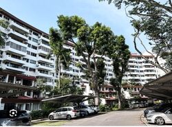 Clementi Park (D21), Condominium #582794801